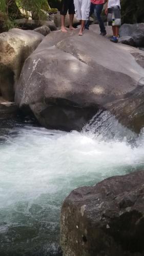 Posada House Of Coffee