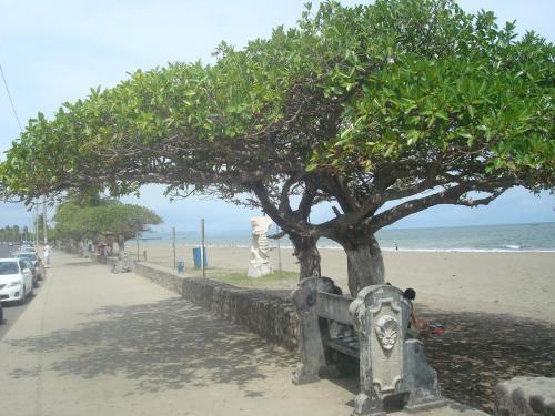 Hotel La Punta
