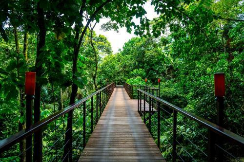 Nayara Hotel Spa And Gardens