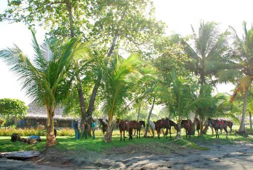 Alma Del Pacifico Hotel & Spa