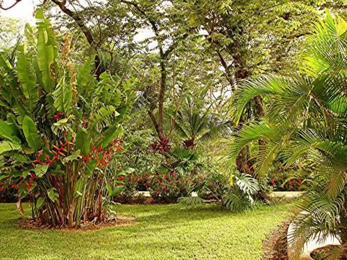 Apartamento Condominium Villas Venado
