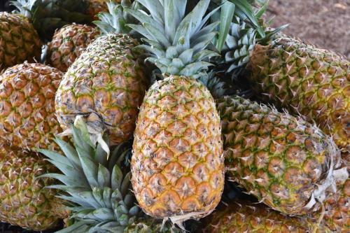 Apartamento Condominium Villas Venado