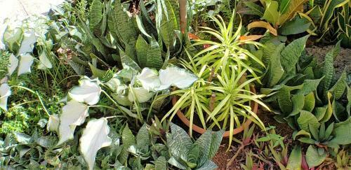 Apartamento Condominium Villas Venado