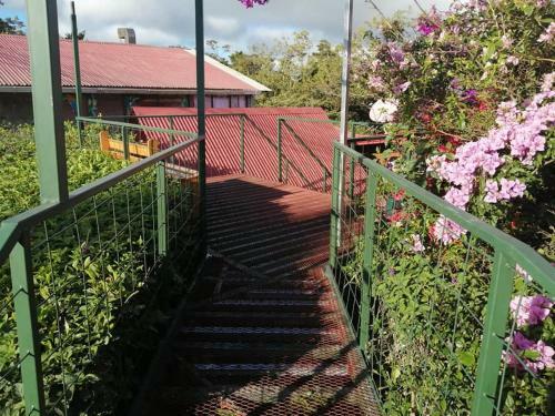 Hostal Pensi�n Y Cabinas Colibr�