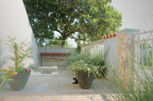 Apartamentos Studio Carino