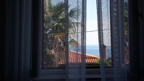 Apartamentos Villa Andreina 1897