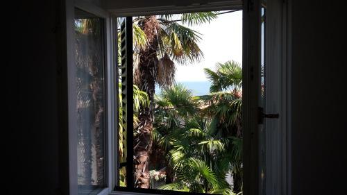 Apartamentos Villa Andreina 1897