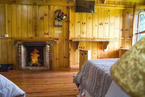 Bed & Breakfast Pousada Rural Pav�o