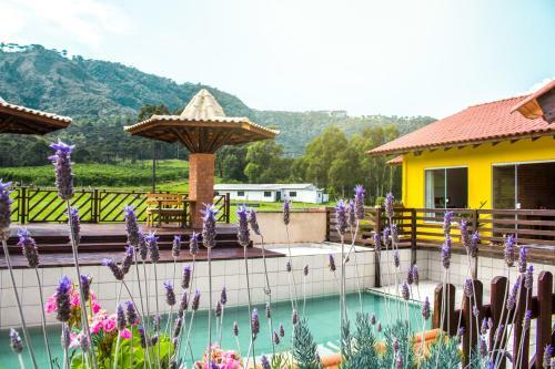 Bed & Breakfast Pousada Rural Pav�o