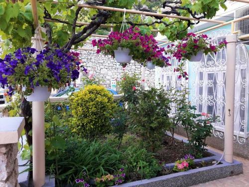 Hostal Guest House Villa Baska