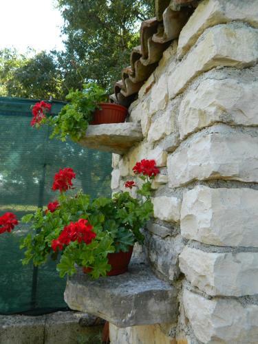 Holiday House Olania