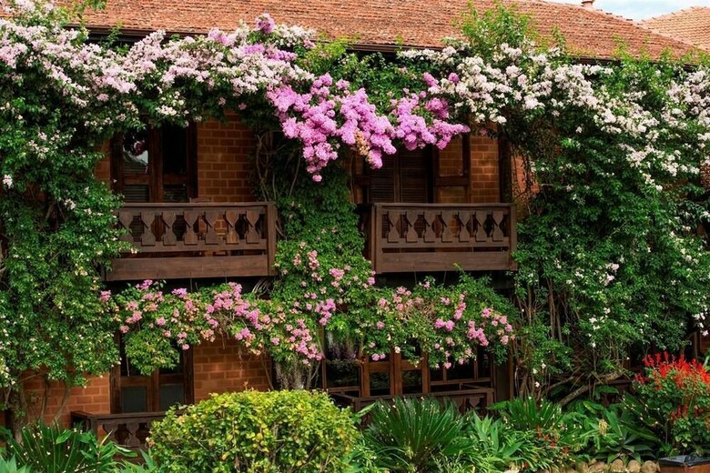 Hostal Pousada Pedra Azul