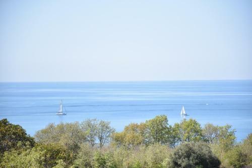 Hostal Guest House Fortuna