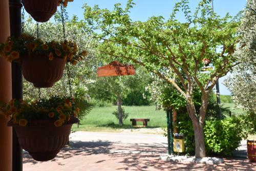 Hostal Guest House Fortuna