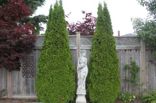 Twin Maples Bed And Breakfast