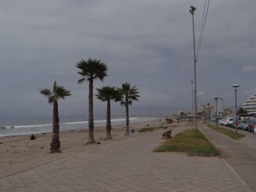 Apartamento Marina Horizonte Casino I