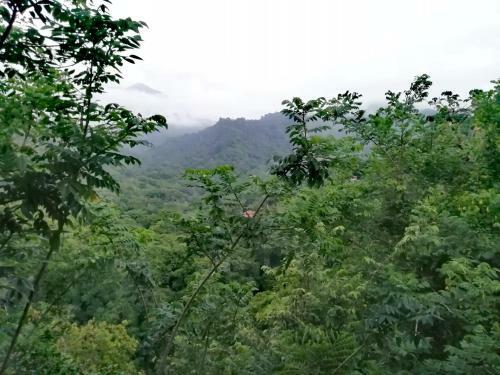 Agroturismo El Ed�n De Minca