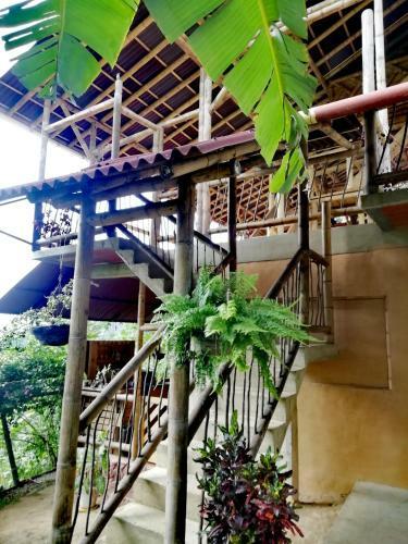 Agroturismo El Ed�n De Minca