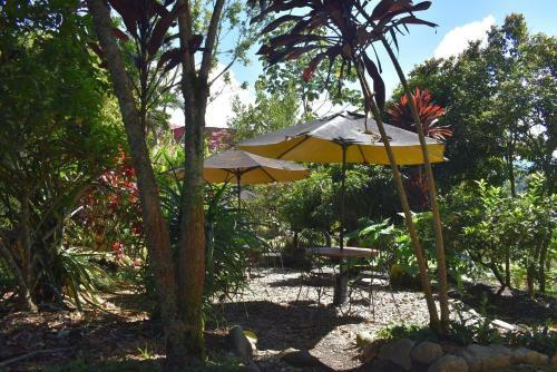 Hotel La Casa De Francois