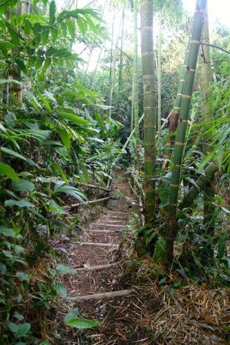 El Jard�n De Los Colibr�es - Pereira, Risaralda