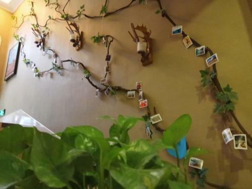 Posada Wutongli Youth Hostel