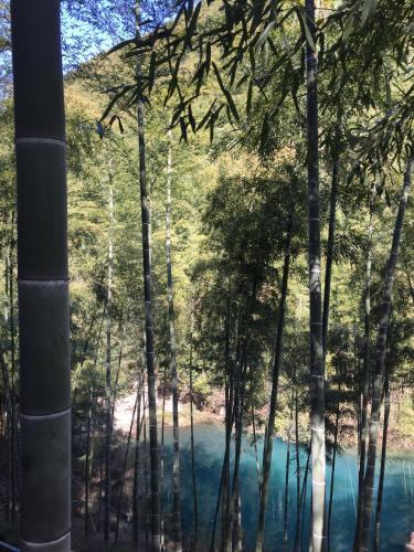 Moganshan Yinhuawu Resort