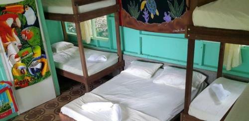 Hostal Life For Life Sea Tutle Drake