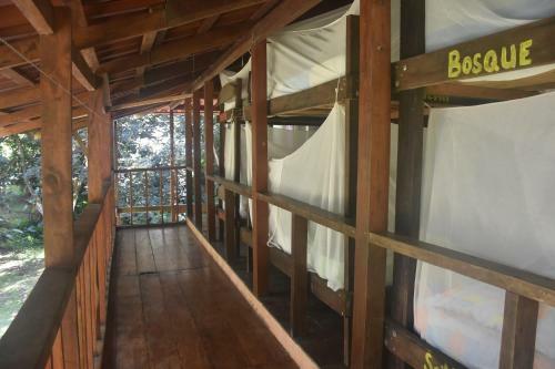 Albergue Jungla Del Jaguar