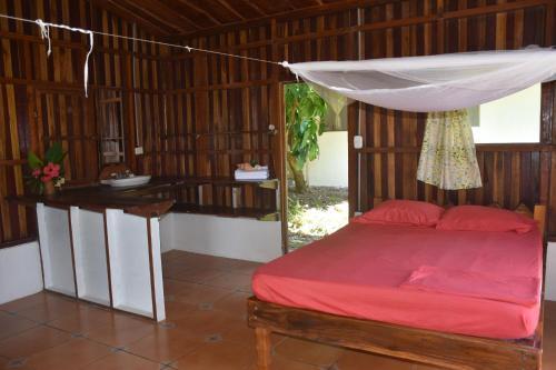 Albergue Jungla Del Jaguar