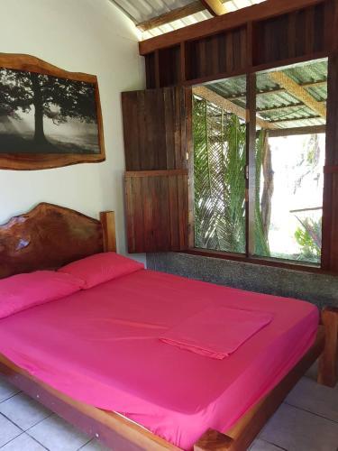 Albergue Jungla Del Jaguar