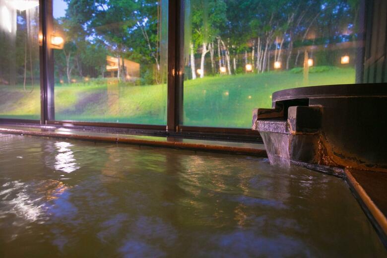 Hotel Northern Resort Annupuri