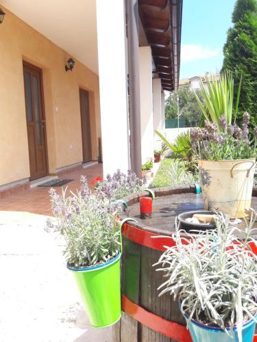 Villa Vacation Home Licinius