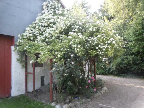 Agroturismo Lille Degnb�l