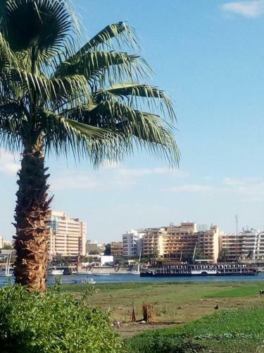 Nile View Hotel
