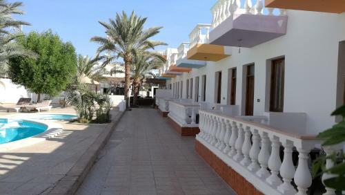 Octopus Hotel