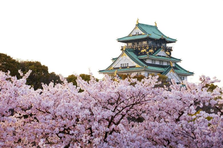 Hotel Sotetsu Grand Fresa Osaka Namba