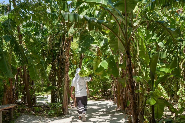 Hotel Villa Park Sun Island Resort