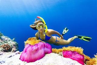Hotel Sheraton Maldives Full Moon Resort