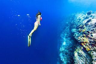 Hotel Sheraton Maldives Full Moon Resort