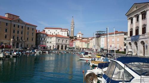 Hostal Dom Mladinske Knjige Fiesa