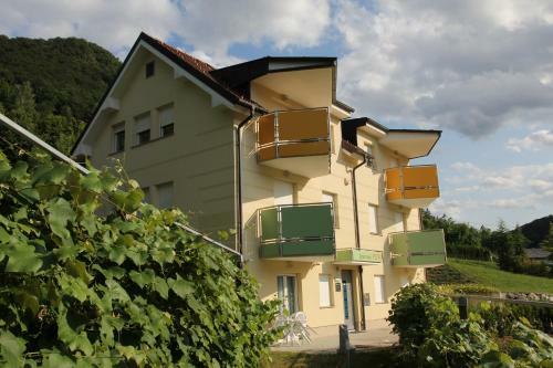 Apartments Veno