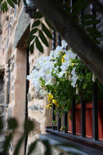 Agroturismo La Casita De Paulino