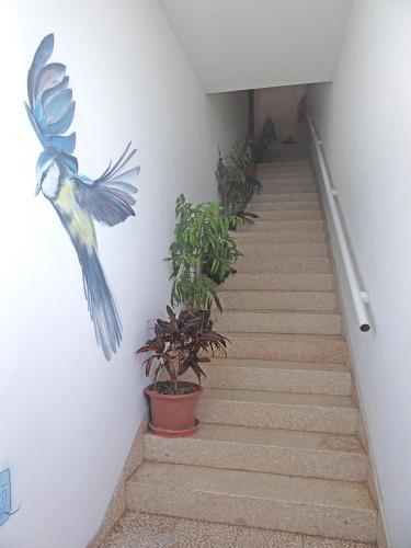 Apartamentos Dom�nguez