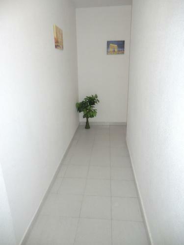 Apartamento Casa En La Costa - Playa Del Cura 2
