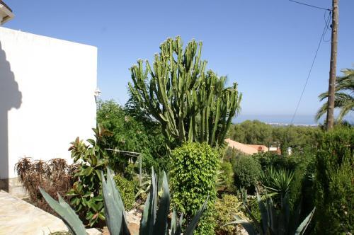 Villa Marquesa Zi