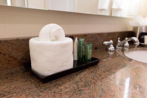 Hotel Marbrisa Carlsbad Resort