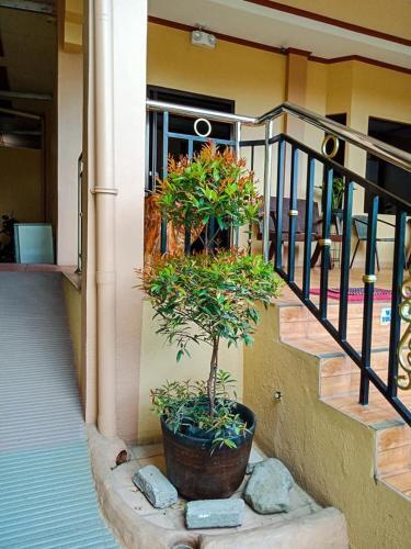 Hostal Dayview Tourist Home