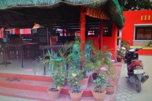 Bed & Breakfast Nitelife Transient House Vigan
