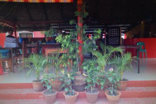 Bed & Breakfast Nitelife Transient House Vigan