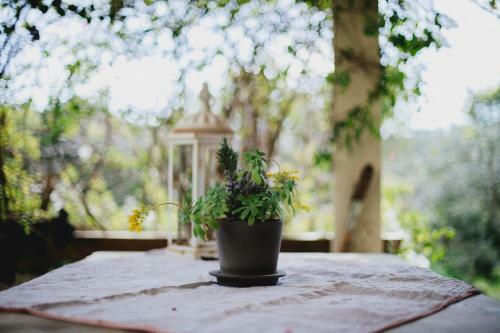 Bed & Breakfast C�t�-vignes Chambre D'h�tes